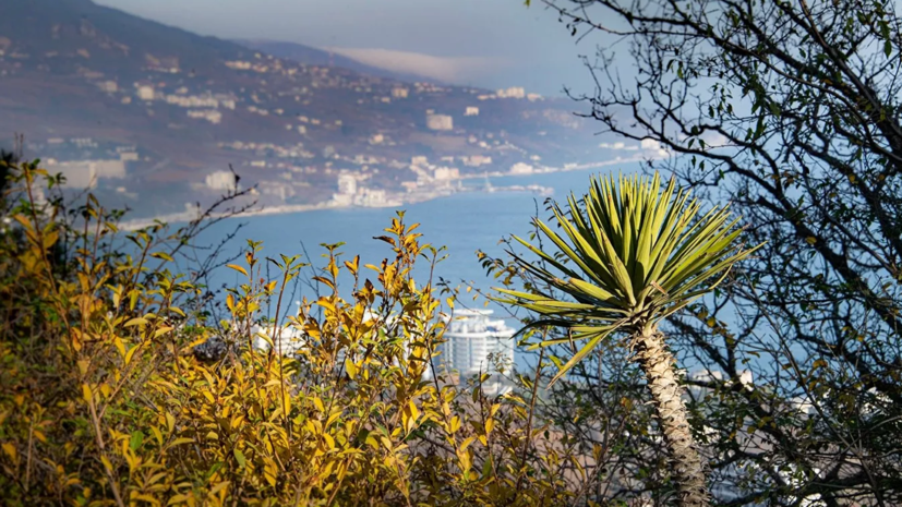 В Крыму сообщили о ходе подготовки к турсезону пещеры «Таврида»