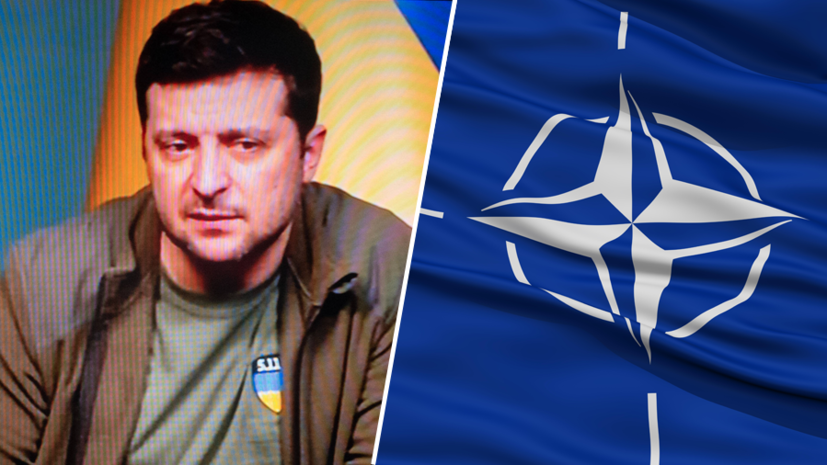 «Милитаристский угар»: как в России отреагировали на обвинения Зеленским НАТО в бездействии