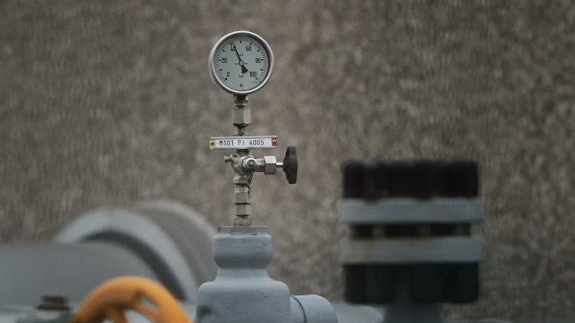 Аналитик Пикин прокомментировал слова депутата ЕП об отказе от импорта российского газа