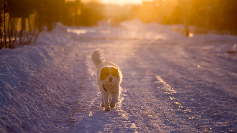 Метеоролог Волосюк спрогнозировала приход тепла в Свердловскую область после 20 марта