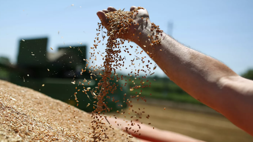 Россия до конца августа запретит экспорт зерновых в страны ЕАЭС