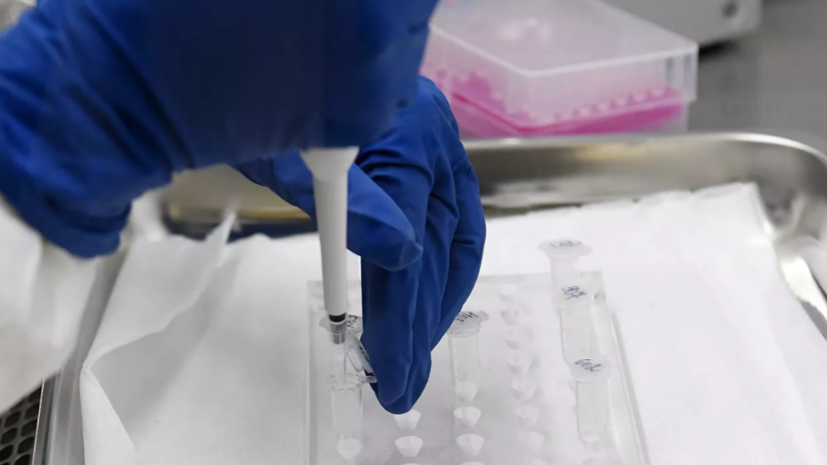 Госдума приняла обращение к ООН с призывом расследовать работу биолабораторий на Украине