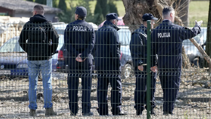 Советник главы Минобороны Хорватии: авиабомба упавшего БПЛА содержала 40 кг взрывчатки