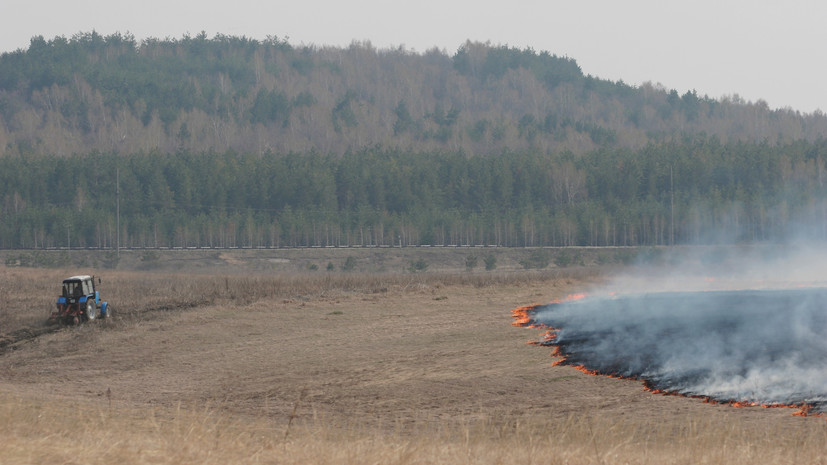В Калининградской области объявили о начале пожароопасного сезона