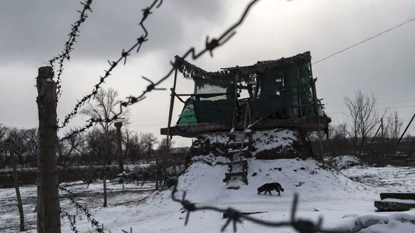 В Народной милиции ЛНР заявили об обнаружении пыточных лагерей украинских нацбатальонов
