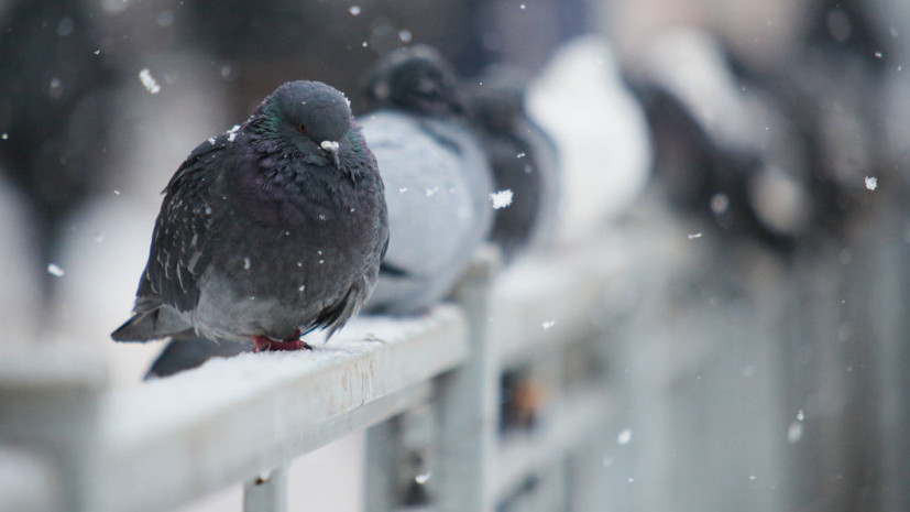 Синоптики рассказали о погоде в Курганской области в ближайшие дни