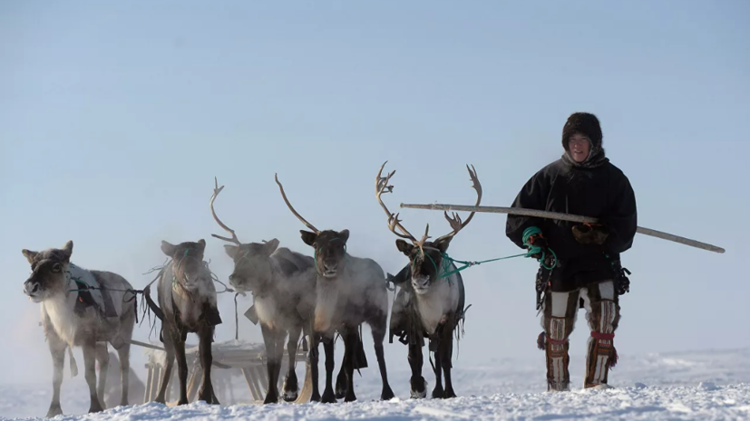 Тундровикам из ЯНАО начислят кочевую выплату в двойном размере за апрель