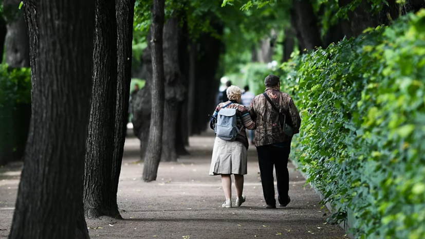 Летний и Михайловский сады Петербурга закроют с 1 апреля для подготовки к летнему периоду