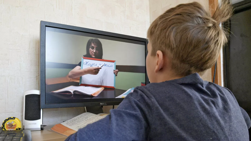 Дистанционное обучение в ДНР возобновляется с 23 марта