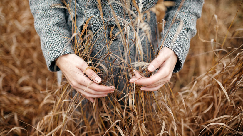 В Кировской области обсудили меры поддержки предприятий АПК