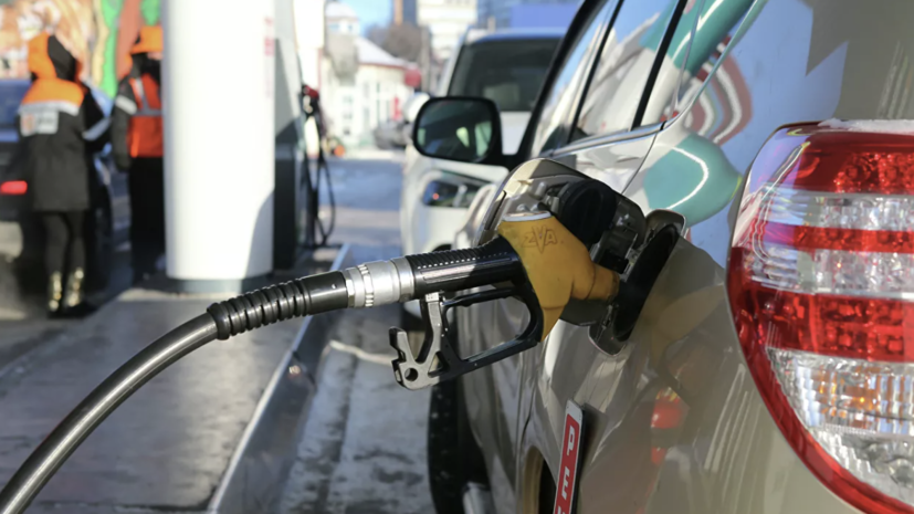 Новак дал прогноз по ценам на бензин и дизель в России