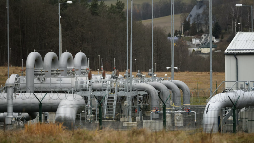 Германия обсудит с партнёрами из Европы решение России принимать оплату за газ в рублях