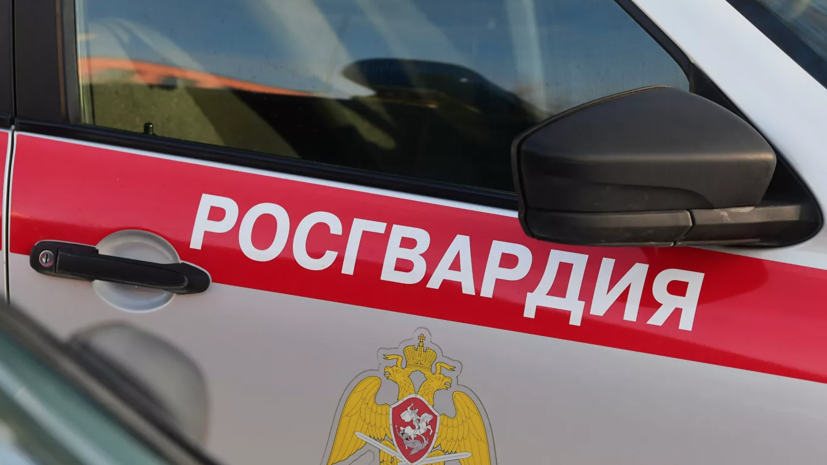 В Санкт-Петербурге Росгвардия обезвредила гранату времён Великой Отечественной войны