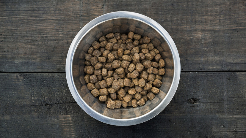 Гендиректор Союза предприятий зообизнеса: Турция готова поставлять в Россию веткорма