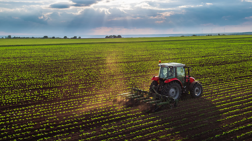 В Подмосковье планируют увеличить площадь пахотных земель