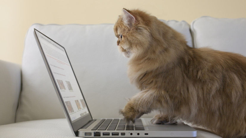 Исследование: большинство россиян уходят из онлайн-магазинов без покупок