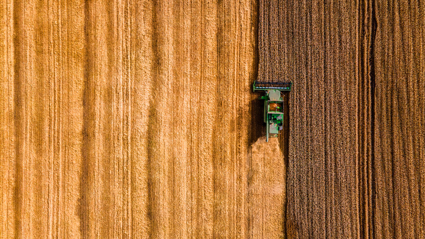 Подмосковье подписало с Крымом соглашение о сотрудничестве в сфере сельского хозяйства