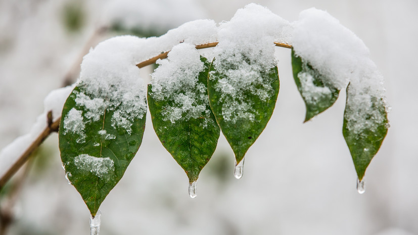 Метеоролог Старков не исключил похолодания на майские праздники