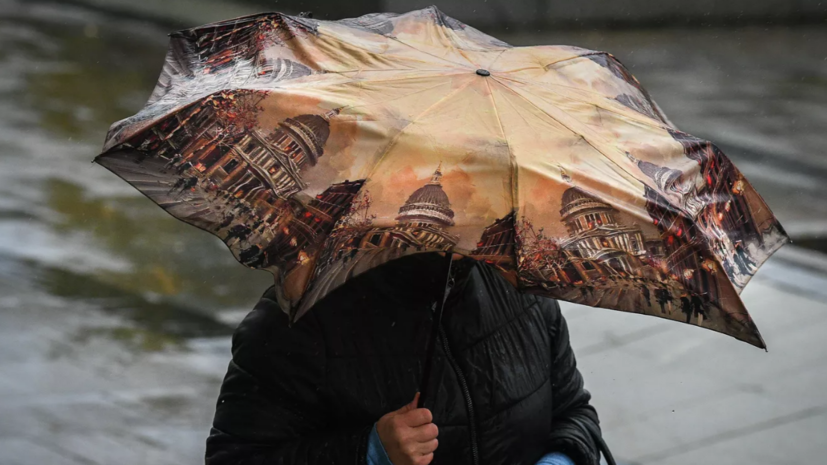 Синоптик спрогнозировал дожди в Москве и Московской области 12 апреля