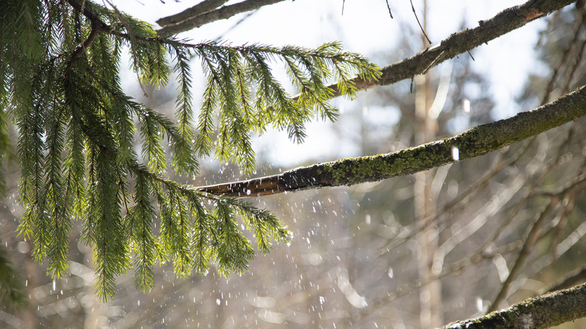В Оренбургской области предупредили о надвигающемся шторме