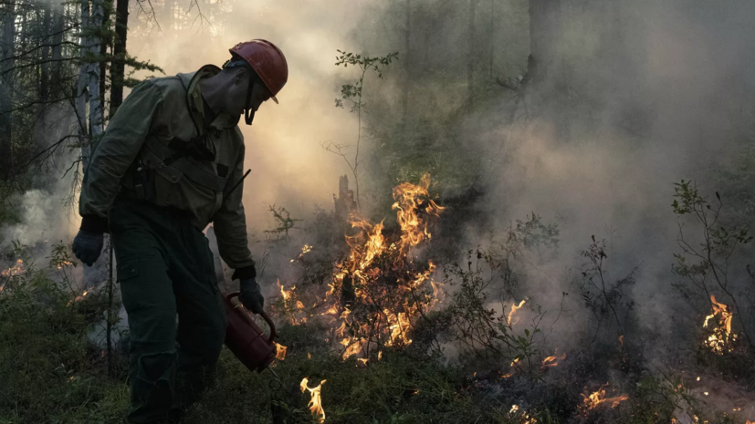 Почти 500 человек тушат природные пожары в пяти районах Тюменской области