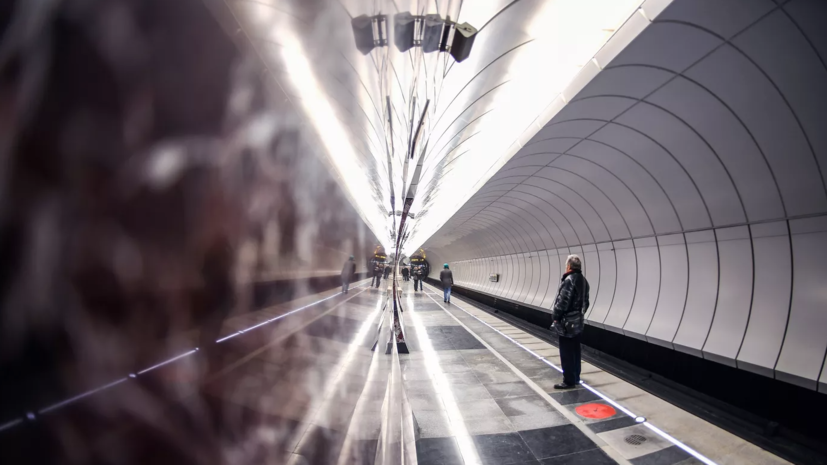 В московском метро запустят посвящённый Петру I поезд