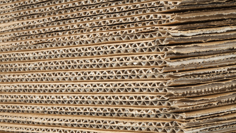 РБК: производители в России решили сократить выпуск упаковочного картона на 25%