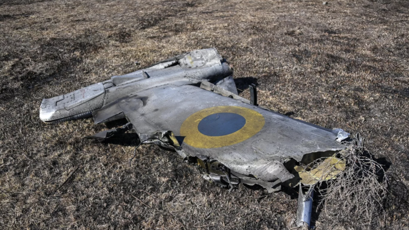 ПВО ВКС России сбили в воздухе три украинских самолёта, два МиГ-29 и один Су-25