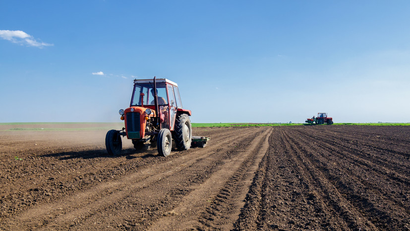 В Приморье рассказали о ходе посевной кампании
