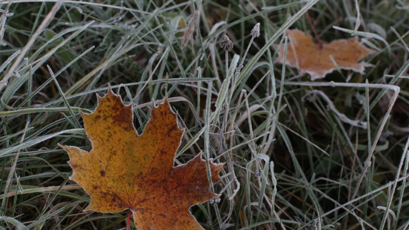 В Свердловской области синоптики спрогнозировали заморозки в ближайшие ночи