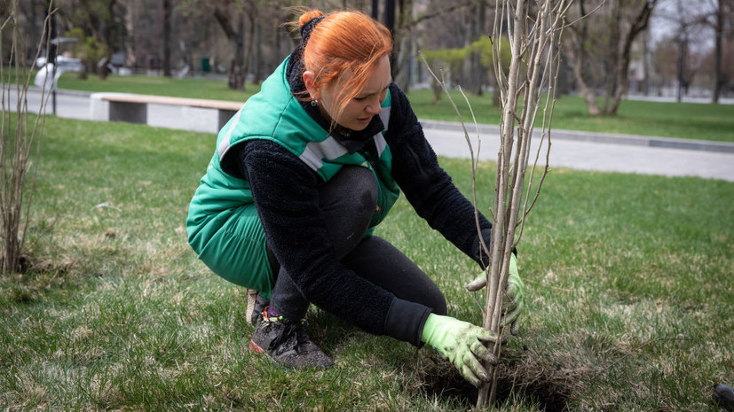 В рамках акции «Сад памяти» высадили пятимиллионное дерево
