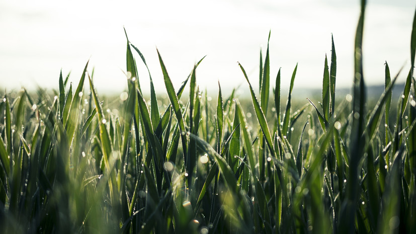 Синоптики рассказали о погоде в Тюмени в ближайшие дни