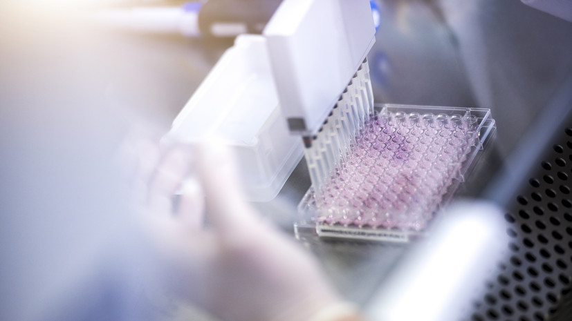 В Ростовской области зарегистрировали 193 случая коронавируса за сутки