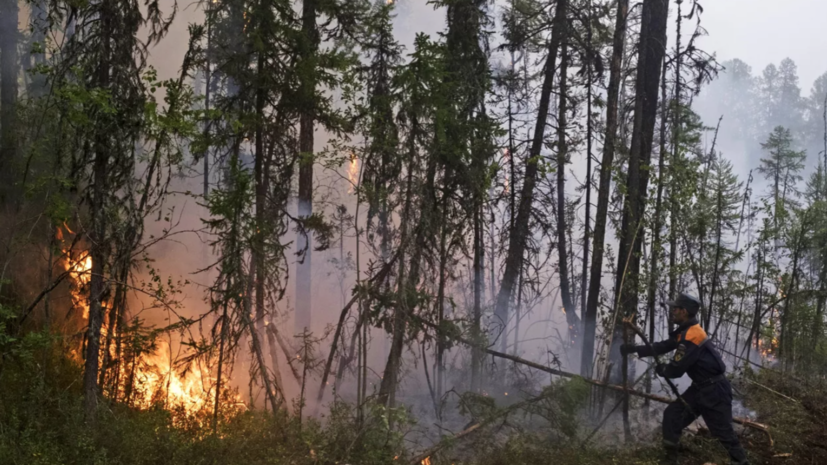 В Томской области ликвидировали четыре природных пожара