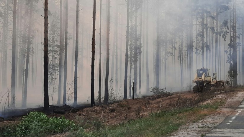 В МЧС заявили о локализации лесного пожара в посёлке на юге Красноярского края