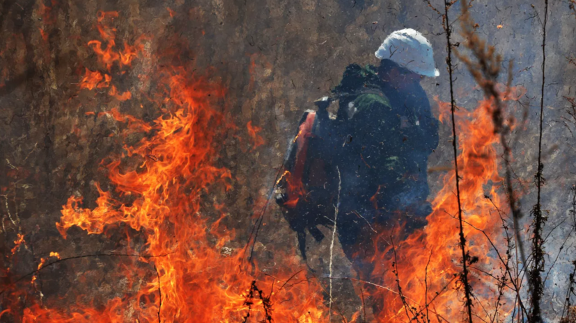 В Красноярском крае завели дело по факту лесного пожара