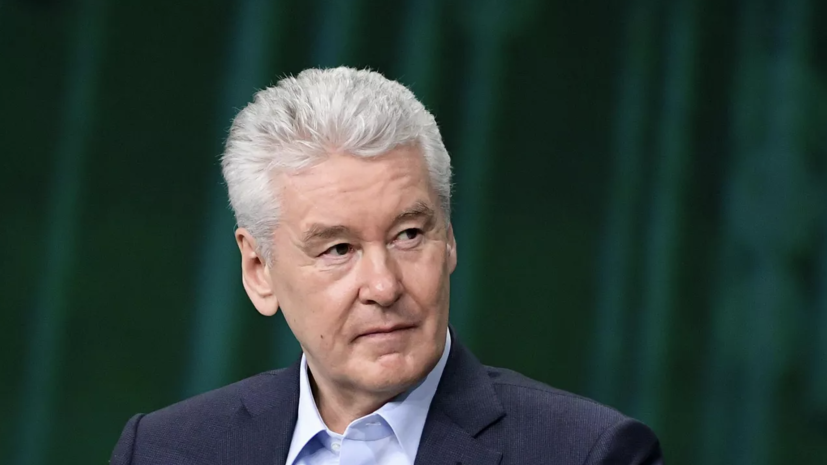 Собянин одобрил проект планировки ТПУ «Царицыно»