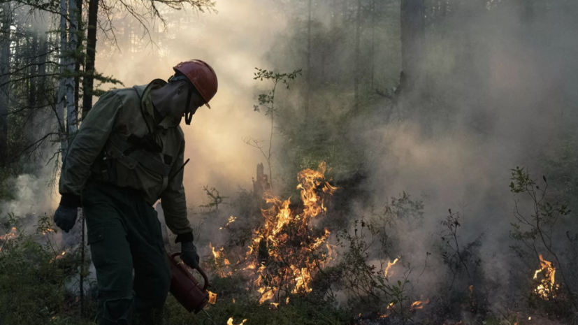 МЧС: природными пожарами в России повреждено 300 строений