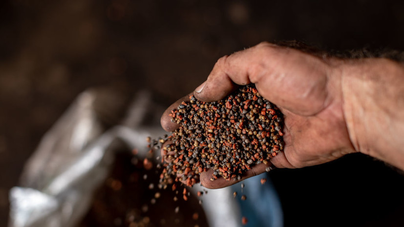 Академик РАН Чекмарёв прокомментировал ситуацию с минеральными удобрениями