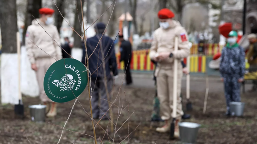 Жители пяти регионов России приняли участие в международной акции «Сад памяти»