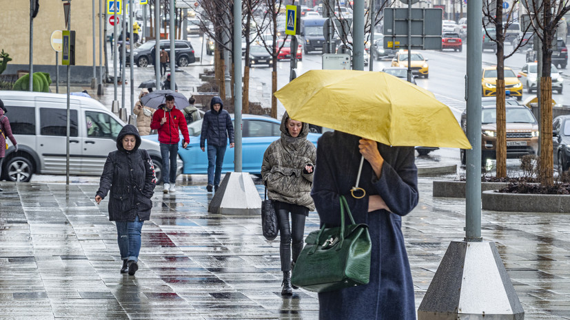 В МЧС предупредили о дожде и ветре до 19 м/с в Москве в ближайшие часы
