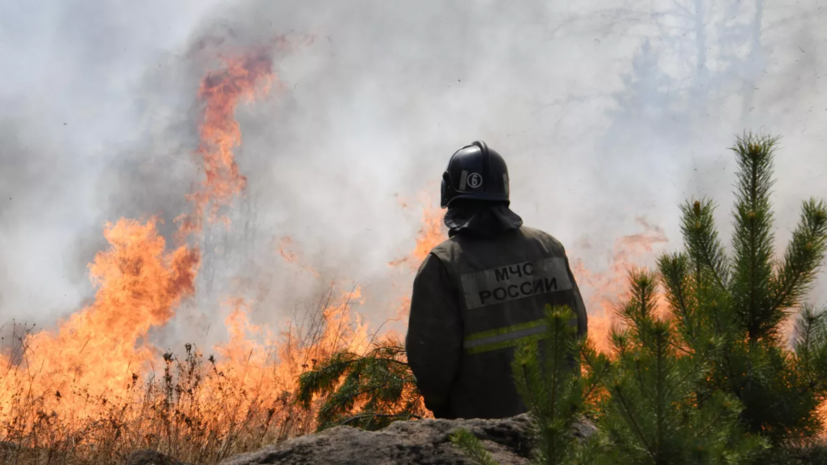 Путин: целевые показатели по ситуации с лесными пожарами будут зафиксированы в указе