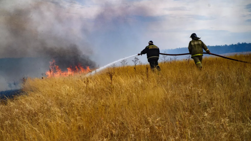 В Курганской области из-за угрозы распространения природных пожаров ввели режим ЧС