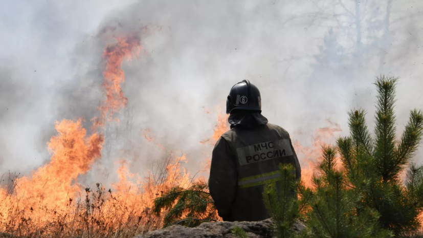 Губернатор Иркутской области Кобзев сообщил о лесных пожарах в регионе