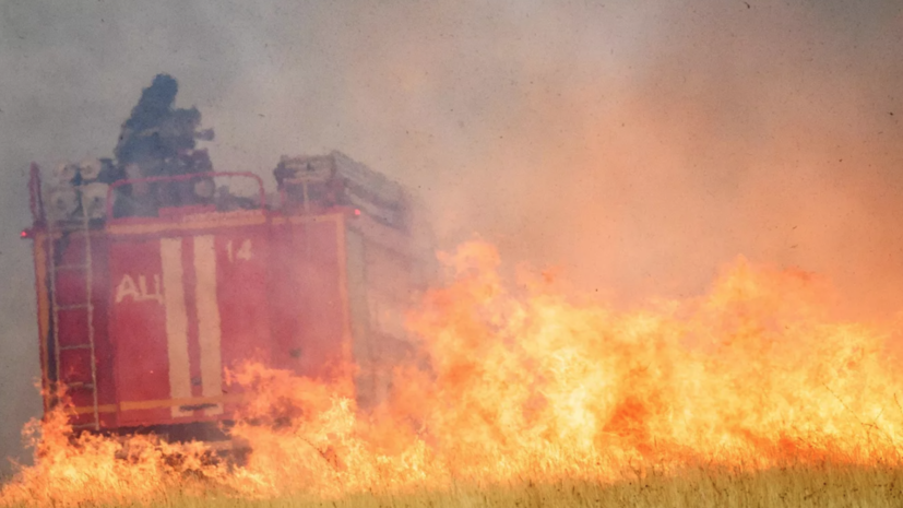 В Хабаровском крае ликвидировали более 900 ландшафтных пожаров с начала года