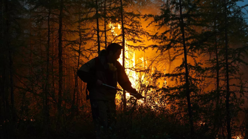 Более 30 ландшафтных пожаров произошло в Горном Алтае с начала года