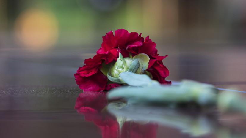 Историк Кнутов осудил осквернение памятника советским воинам в Литве