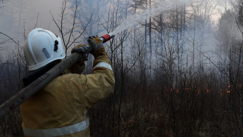 Рослесхоз рассказал о ситуации с лесными пожарами в России