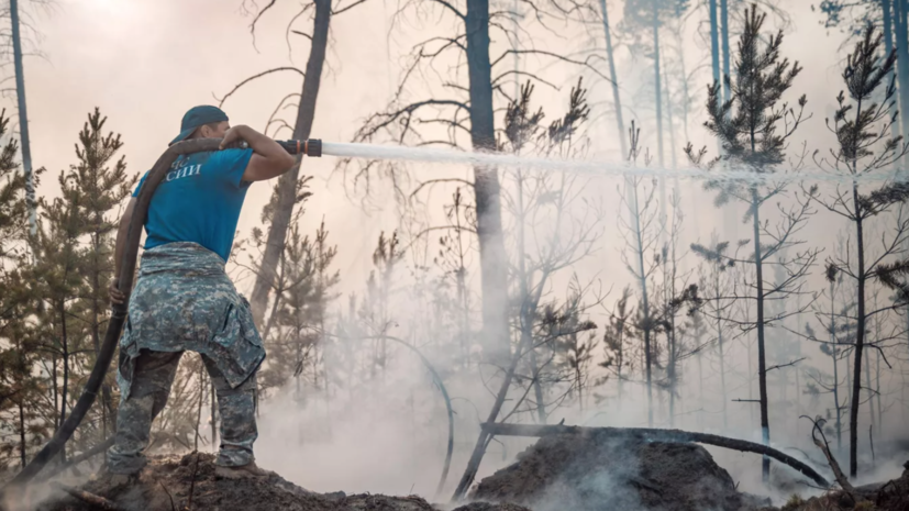 В лесах Хакасии введён режим ЧС