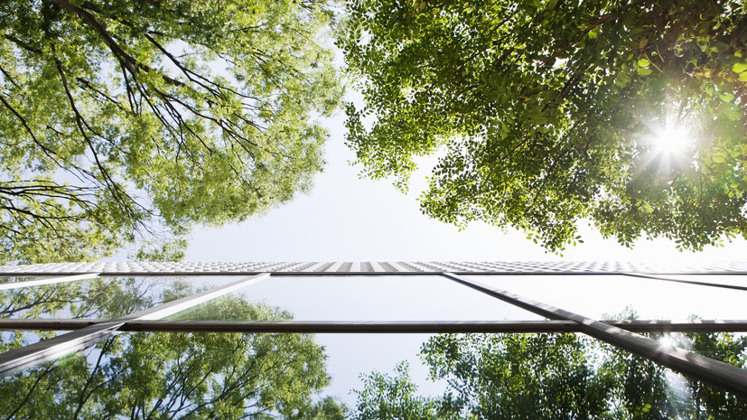 В России объявили конкурс на создание почтовой марки на экологическую тему